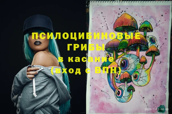 стаф Болхов