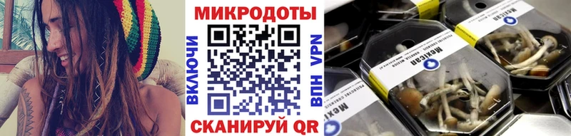 сколько стоит  Мегион  Псилоцибиновые грибы Psilocybine cubensis 